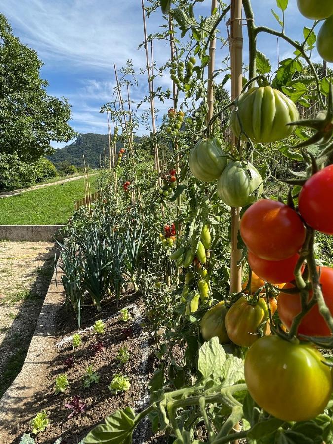 Agriturismo San Lorenzo Di Persegno Vila Toscolano Maderno Exterior foto